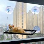 Cat Hammock for Wall with 4 Suction Cups, Cat Window Perch, Spa Saving and Easy Mounted Large Cats Bed, Pet Resting Safety Holds(Medium)