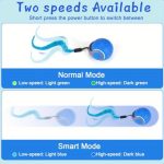 d85be71f87ca46d293a453c92534c4e9-goods