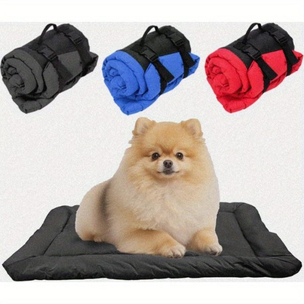 c080300bbb3d4f32a58418fa824da500-goods